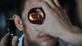 Gene Therapy Aims At Stopping Blindness