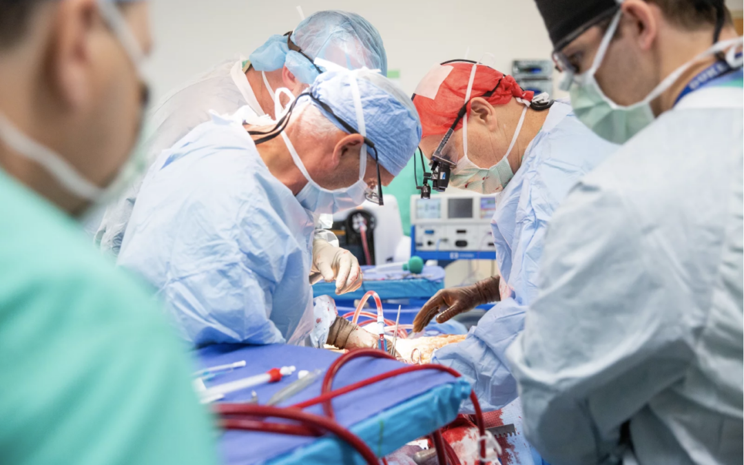 Doctors Try a New Revolutionary Organ Retrieval Procedure