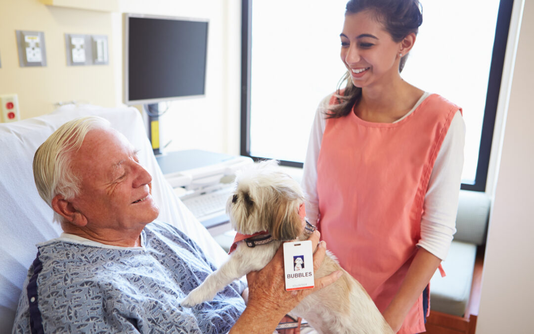 How Volunteering Can Open Doors to a Career in Medicine