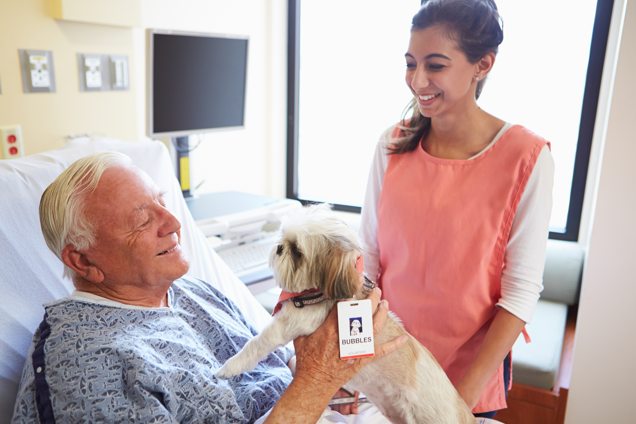 Therapy dog and volunteer at hospital